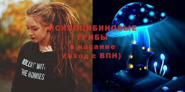 шишки Нязепетровск