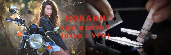 сатива Елизово