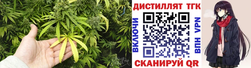 купить закладку  Отрадный  ТГК концентрат 