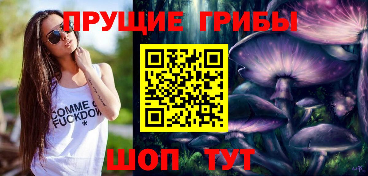Псилоцибиновые грибы прущие грибы Отрадный