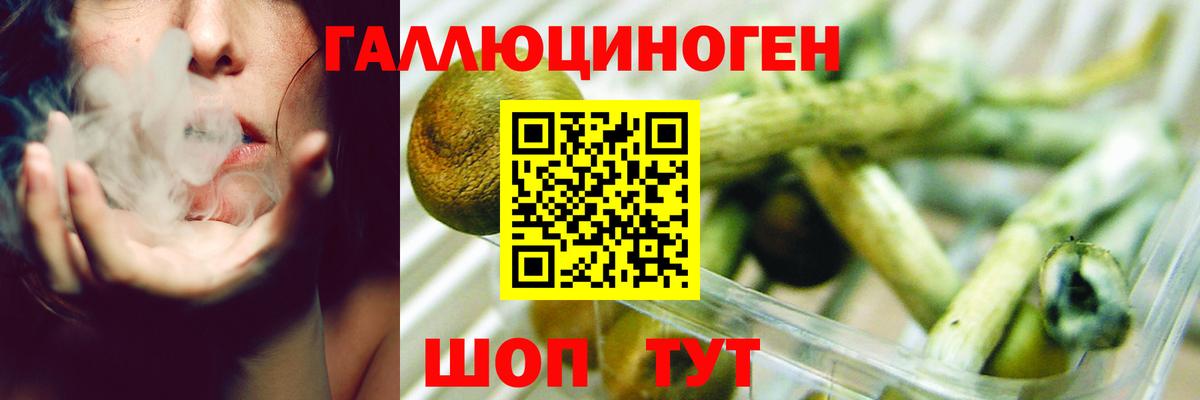 Галлюциногенные грибы мухоморы  Вход с VPN  Отрадный  закладки  Галлюциногенные грибы прущие грибы 