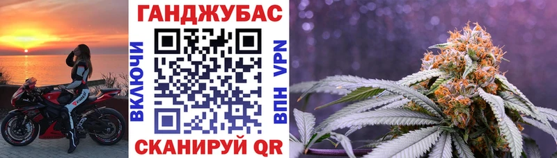 Конопля планчик  Отрадный 