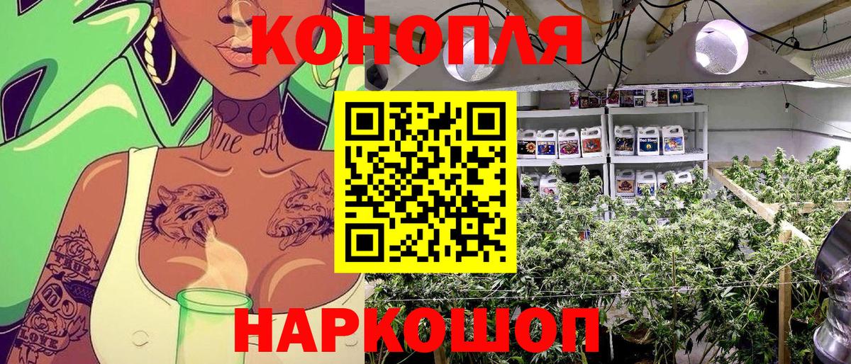 Шишки марихуана семена  Каннабис OG Kush  Отрадный  Вход с VPN  МАРИХУАНА тримм 
